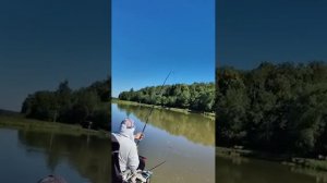 Рыбхоз Сенеж.