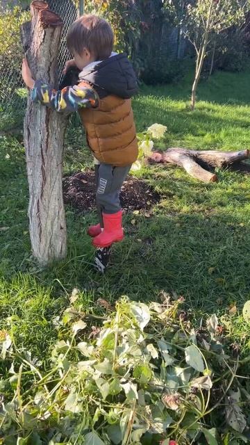 Приучаем к труду #надачежить #дача #огород