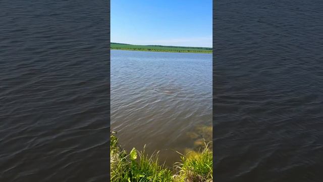 #2023 #татарстан #рыбалка #fypシ смотреть онлайн