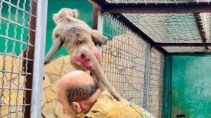 МЫ ЗАМЕРЛИ.Люська ЗАШЛА в вольер к Елисею и Лиде