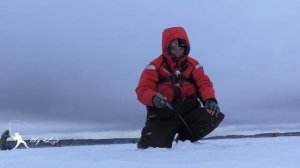 Рыбалка на Рузе 5.01.25