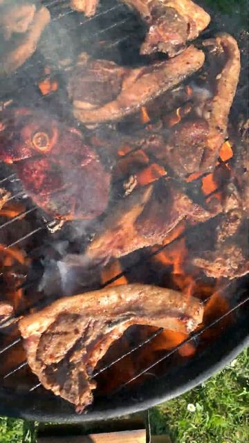 Жарим барбекю.#шашлыкнамангале #шашлык #мясонауглях