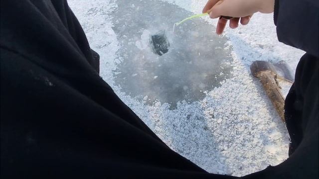 Зимова риболовля на вудку|Повний екран карася #рыбалк?