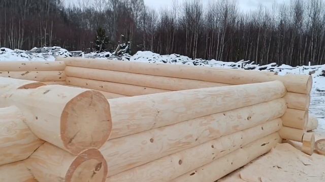 Срубы из Мордовии от Кидяева Сергея смотреть онлайн