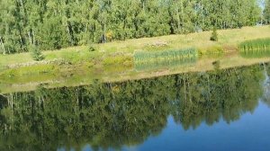 Рогатка для охоты на рыбу