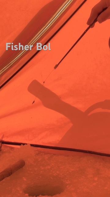 Рыбалка 2024 Темиртау #безмотылка #поклевки #поклёвка #з? смотреть онлайн