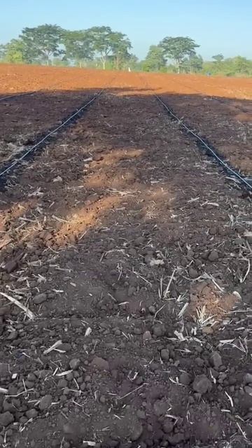 Капельный полив 🌱💦🍉 смотреть онлайн