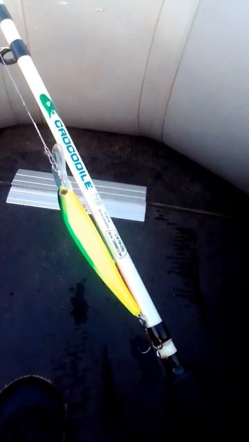 обновка, все поклёвки ,и сходы наши. Воблер бандит! смотреть онлайн