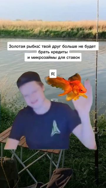 Тут должен быть 1🍋 просмотров, разве нет? #мелстрой #ко смотреть онлайн