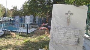 НЯЗЕПЕТРОВСК_ПТИЦЫ НА УЛИЦАХ