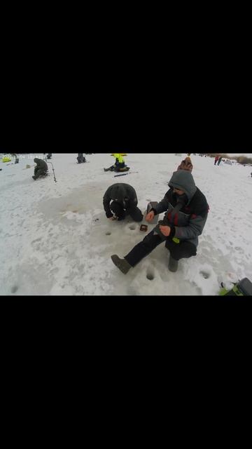 Дорвались до густеры.#ловлягустеры #зимняярыбалка #ры смотреть онлайн