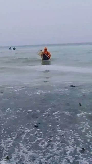 рыбалка на острове Сахалин... удалась)) смотреть онлайн