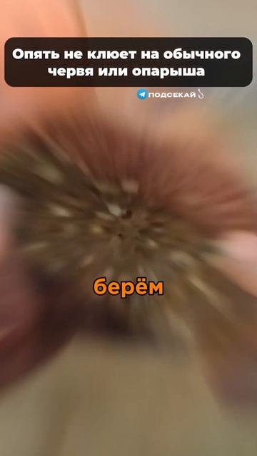 Если не клюет на червя или опарыша, пользуйся этой нас? смотреть онлайн