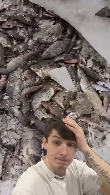 Ужас #рыбалка #fishing #нижегородскаяобласть смотреть онлайн