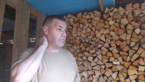 Сколько дров привёз ГАЗон. #дрова