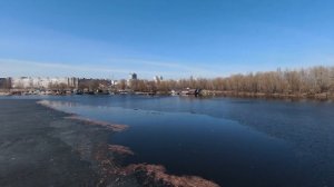 DJI FPV chasing the crow / погоня за вороной