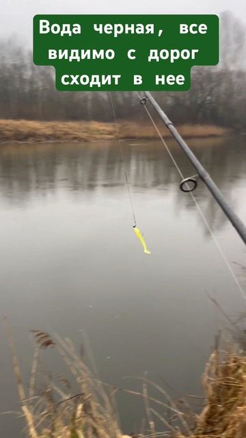 Вскоре там рыбы не будет с таким отношением к ней люде? смотреть онлайн