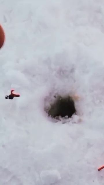 Уелги , середина Марта. #рыбалка смотреть онлайн