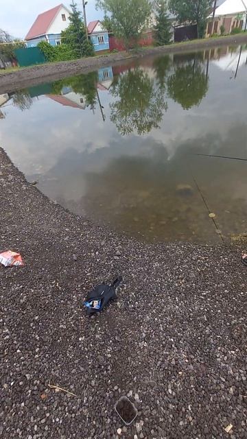 Поймал ещё одного карасика и отпустил #рыбалка смотреть онлайн