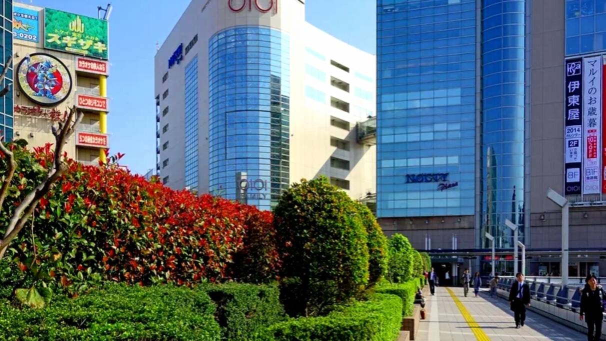 Кавасаки. Япония (Kawasaki walking)