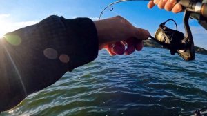 Судак в декабре: последняя зимняя рыбалка на СУДАКА с ?