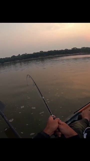 Поймал на удочку крокодила смотреть онлайн