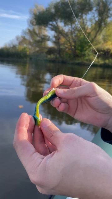 Как должна выглядеть действительно рабочая приманка?? смотреть онлайн