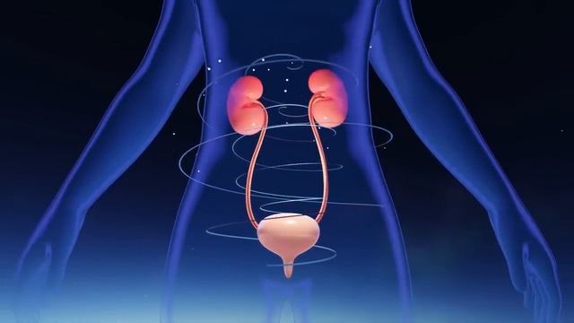 Очищения Почек