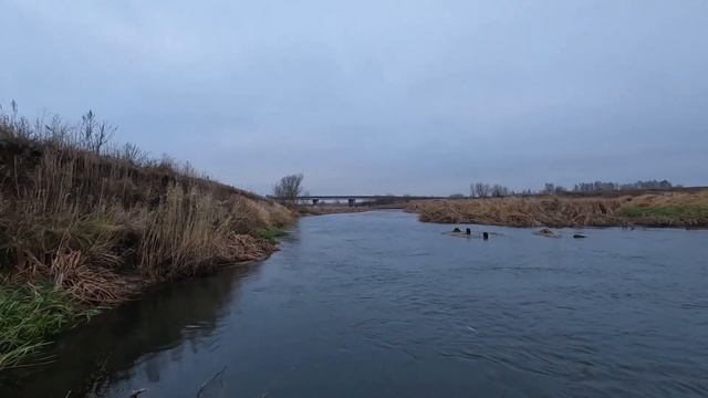Джеркбейты. Закрываю сезон. "Потерял" джерк(. смотреть онлайн