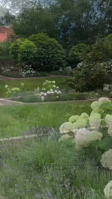 #annabelle ##hydrangea #гортензия #garden #гортензія #flowers #park#jardin #ア? смотреть онлайн