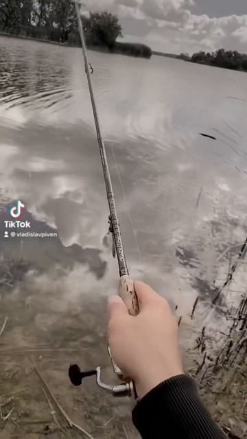 Ходил на рыбалку и поймал большого ******😂😂😂😂 смотреть онлайн