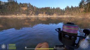 Русская рыбалка 4. рр4. Куори. Что случилось с клевом?