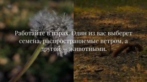 Как распространяются семена растений. Урок 7. Естество