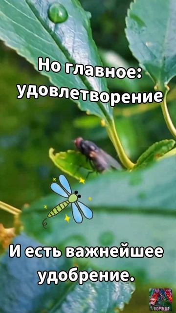 Важнейшее удобрение #shorts