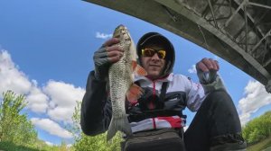 Мост, спиннинг и большой сюрприз. Продолжение голавлевого родео. Часть2 #голавль #tsuyoki  #рыбалка