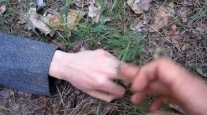 Человек – швейцарский нож (Swiss Army Man)