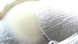 Ловля щуки поздней осенью на мелководье