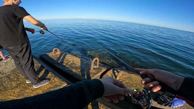 ☀️ Утренняя рыбалочка 🎣 Рыбалка на море 🌊 Пилькери? смотреть онлайн