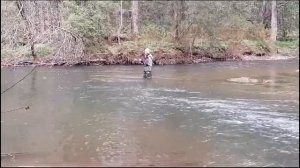 Рыбалка на горной реке осень 2024г. #рыбалка #хариус #лен?