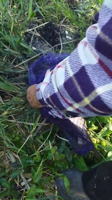 Прошлого года Толстолобик.#тренды#амур#карп#коя#карас? смотреть онлайн