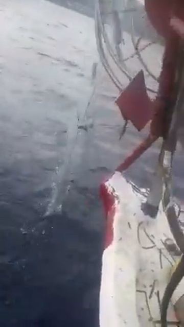 Лучшее время жизни на рыбалке на Северном Кипре! смотреть онлайн