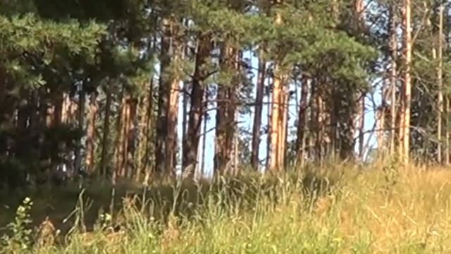 9мещера смотреть онлайн