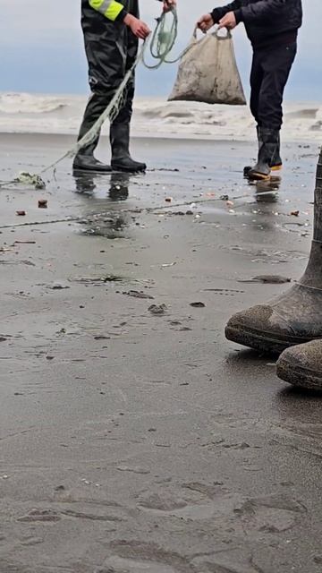 Fishing Рыбалка #fishing #sea #season смотреть онлайн