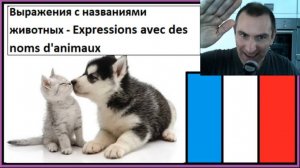 Выражения с названиями животных - Expressions avec des noms d'animaux - Словарный запас