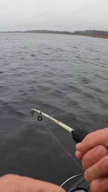 УХ какая поклёвка на балансир! Рыбалка осенью смотреть онлайн