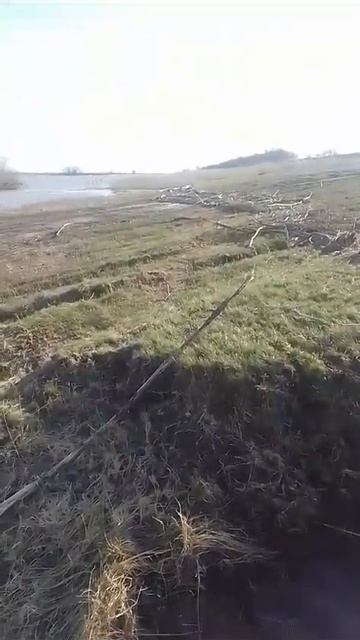 Видео от местного жителя. Ишим. Розлив. Спадает вода. смотреть онлайн