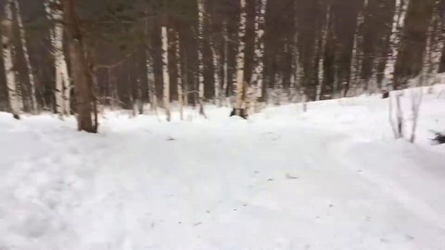 Двуглавая Сопка. Спуск с горы. Таганай смотреть онлайн