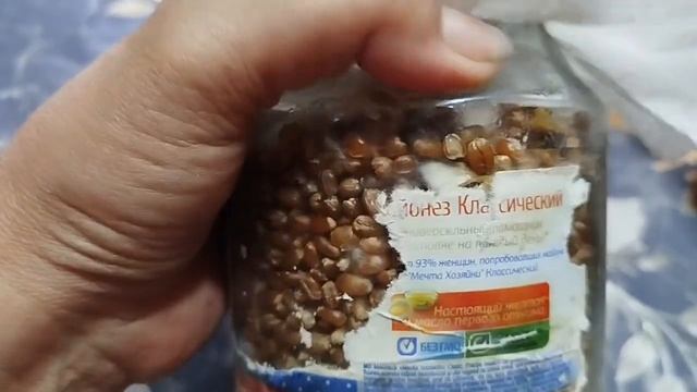 Растим грибы в огороде и дома #5 смотреть онлайн