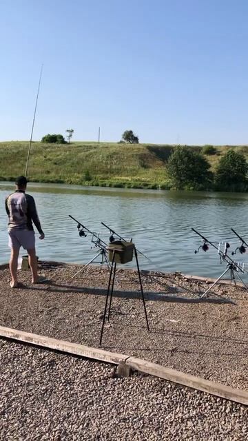 #carpfishing #карповаяловля #fishing #carp #fishingvideo #bigfish #бойлы #fish #? смотреть онлайн