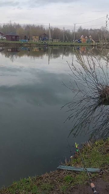 оз.Игумное#карп #фидер #рыбалка #лагуна смотреть онлайн